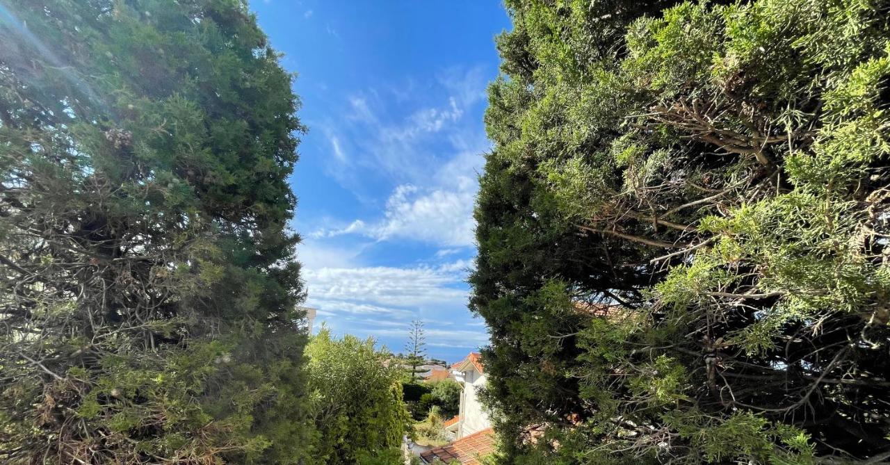 Chambre D'Hotes Duplex Le Petit Mas Nicois De La Villa Rose Nizza Exterior foto