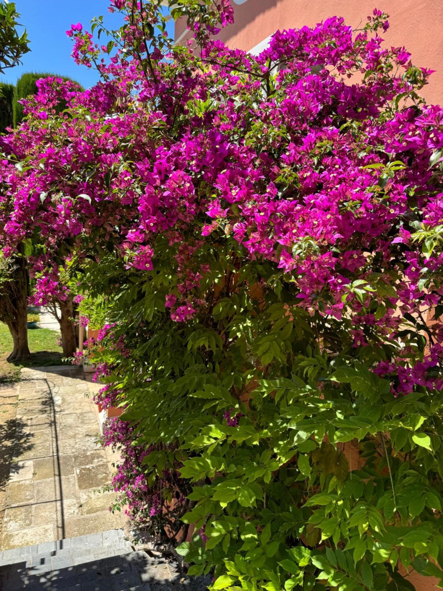 Chambre D'Hotes Duplex Le Petit Mas Nicois De La Villa Rose Nizza Exterior foto